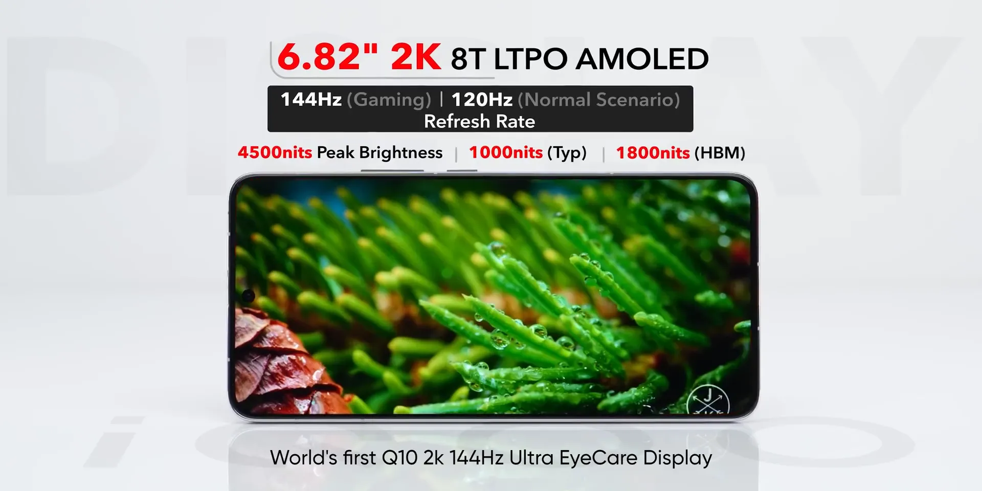 iqoo 13 display showcasing AMOLED technology