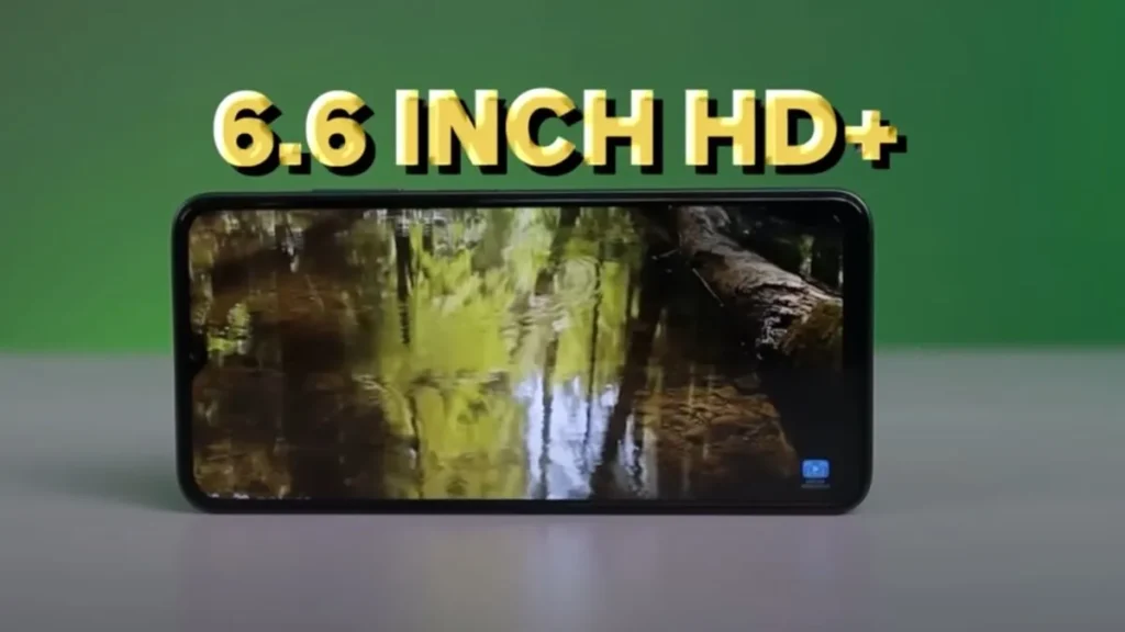 Display: Big Screen for Multimedia Lovers